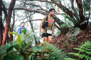 BIB: 
                            <button type="button" onclick="openModal(26295648)" class="btn btn-primary btn-sm float-right btn-popup" data-toggle="modal" data-target=".modal-high-quality">
                        <i class="fas fa-shopping-cart"></i> Add to Cart
                    </button>
                                            <button type="button" onclick="isThisMe(26295648, true)" class="btn btn-success btn-sm float-right btn-popup btn-isme hidden" data-toggle="tooltip" data-placement="bottom" title="นี่คือรูปของคุณใช่ไหม คลิกที่นี่เพื่อเอาเข้าอัลบั้ม">
                        <i class="fas fa-plus"></i> Add to album
                    </button>
                    <button type="button" onclick="isThisMe(26295648, false)" class="btn btn-warning btn-sm float-right btn-popup btn-isnotme hidden">
                        <i class="fas fa-ban"></i> Remove from album
                    </button>